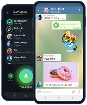 Telegram sesli ve görüntülü arama arayüzü